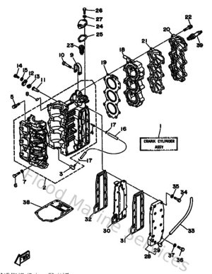 Diagram for Cylinder & Crankcase