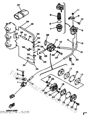 Diagram for Fuel