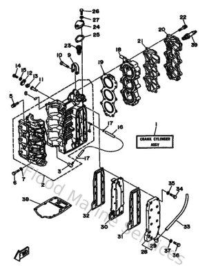 Diagram for Cylinder & Crankcase