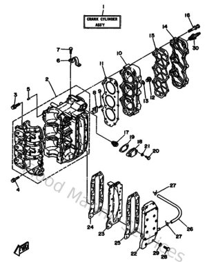 Diagram for Cylinder & Crankcase