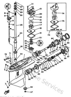 Diagram for Lower Casing & Drive 1