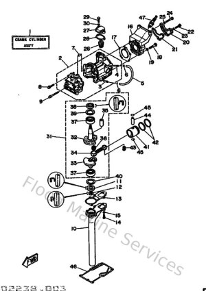 Diagram for Cylinder & Crankcase
