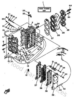 Diagram for Cylinder & Crankcase