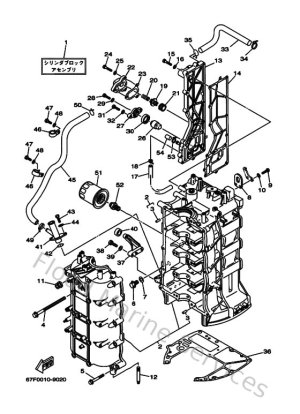 Diagram for Cylinder & Crankcase