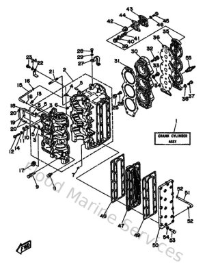 Diagram for Cylinder & Crankcase