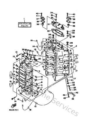 Diagram for Cylinder & Crankcase