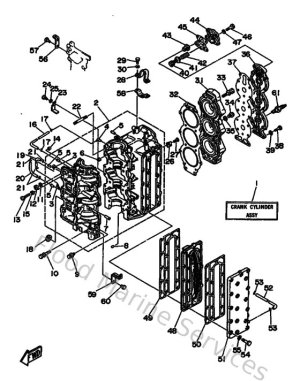 Diagram for Cylinder & Crankcase