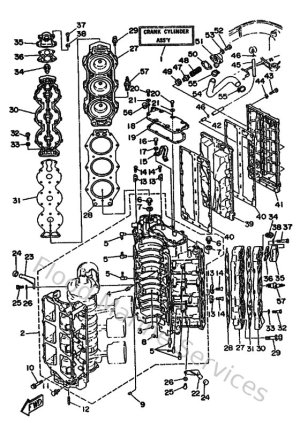 Diagram for Cylinder & Crankcase