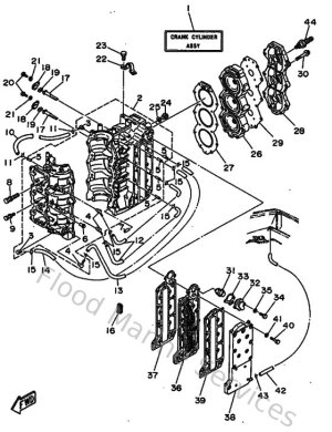 Diagram for Cylinder & Crankcase