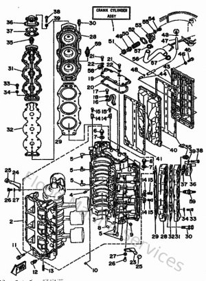 Diagram for Cylinder & Crankcase
