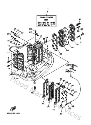 Diagram for Cylinder & Crankcase
