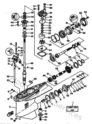 Diagram for Lower Casing & Drive 1