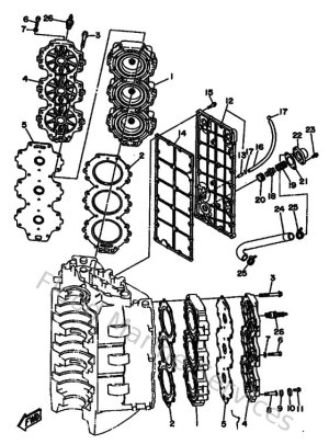 Diagram for Cylinder & Crankcase 2
