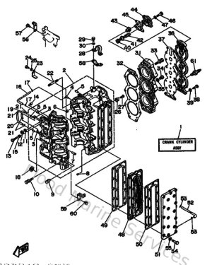 Diagram for Cylinder & Crankcase
