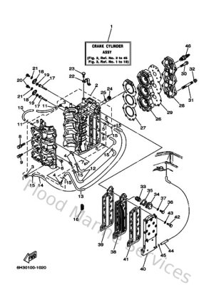 Diagram for Cylinder & Crankcase