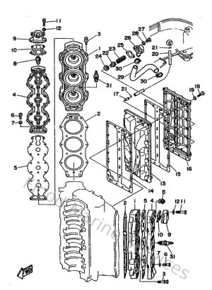 Diagram for Cylinder. Crankcase 2