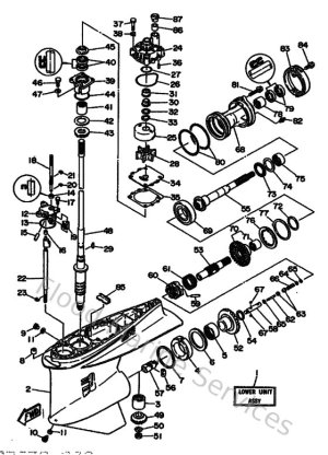 Diagram for Lower Casing & Drive 1