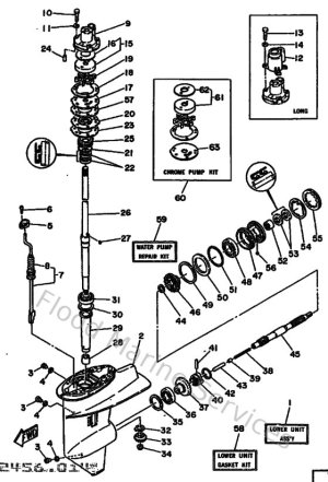 Diagram for Lower Casing & Drive 1