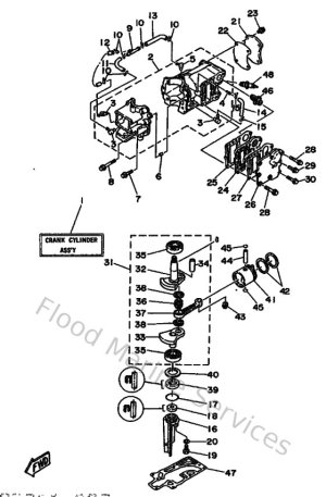 Diagram for Cylinder & Crankcase