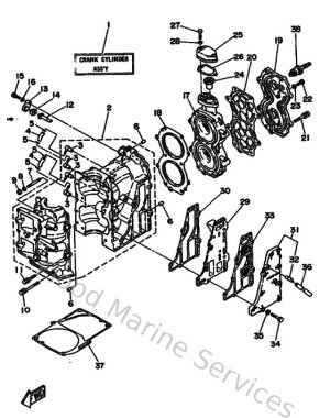Diagram for Cylinder & Crankcase