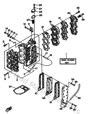 Diagram for Cylinder & Crankcase