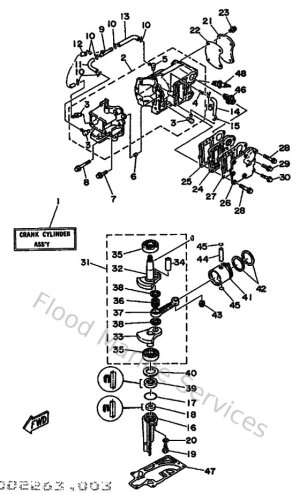 Diagram for Cylinder & Crankcase