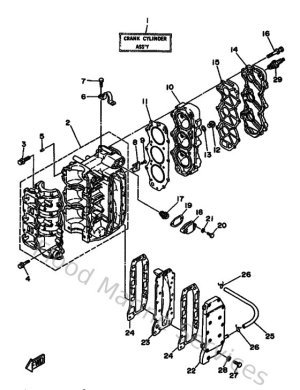 Diagram for Cylinder & Crankcase
