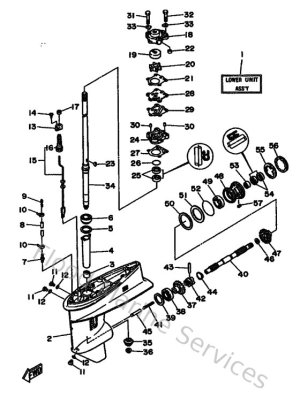 Diagram for Lower Casing & Drive 1