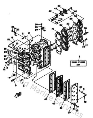 Diagram for Cylinder & Crankcase