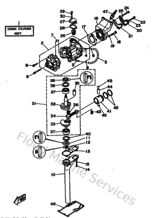 Diagram for Cylinder & Crankcase