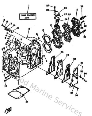 Diagram for Cylinder & Crankcase
