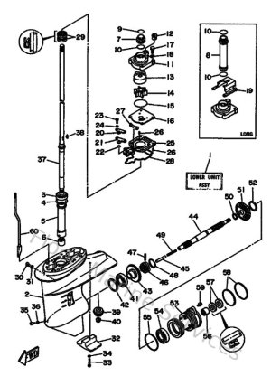 Diagram for Lower Casing & Drive