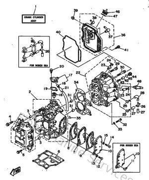 Diagram for Cylinder & Crankcase