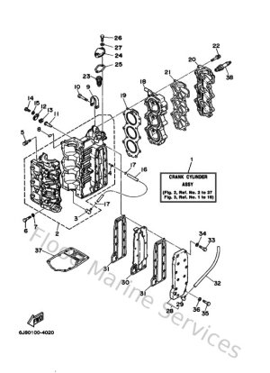 Diagram for Cylinder & Crankcase